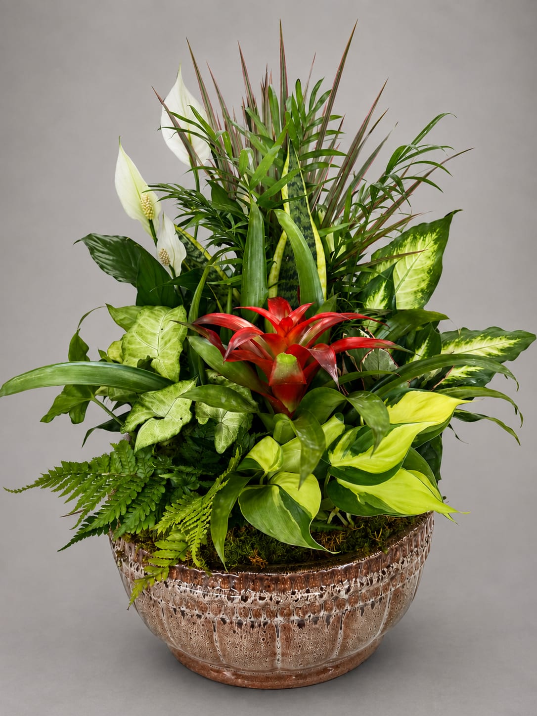 Tropical plant arrangement in a textured glass bowl with red and white blooms