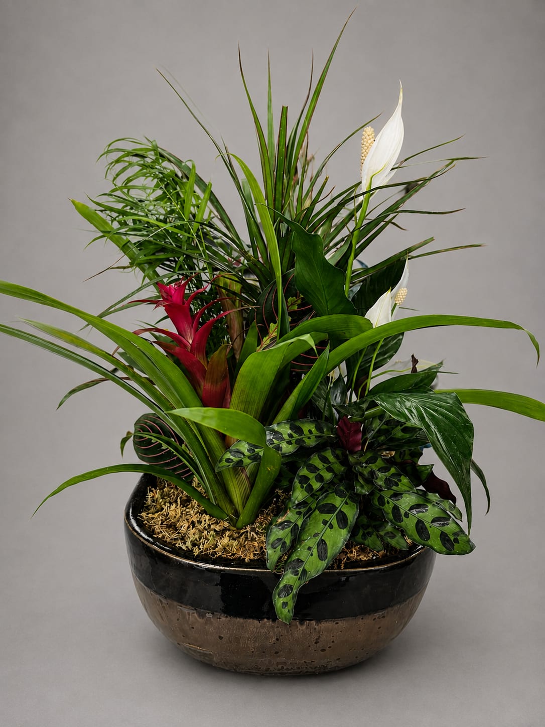 Tropical plant arrangement in a black bowl with white blooms