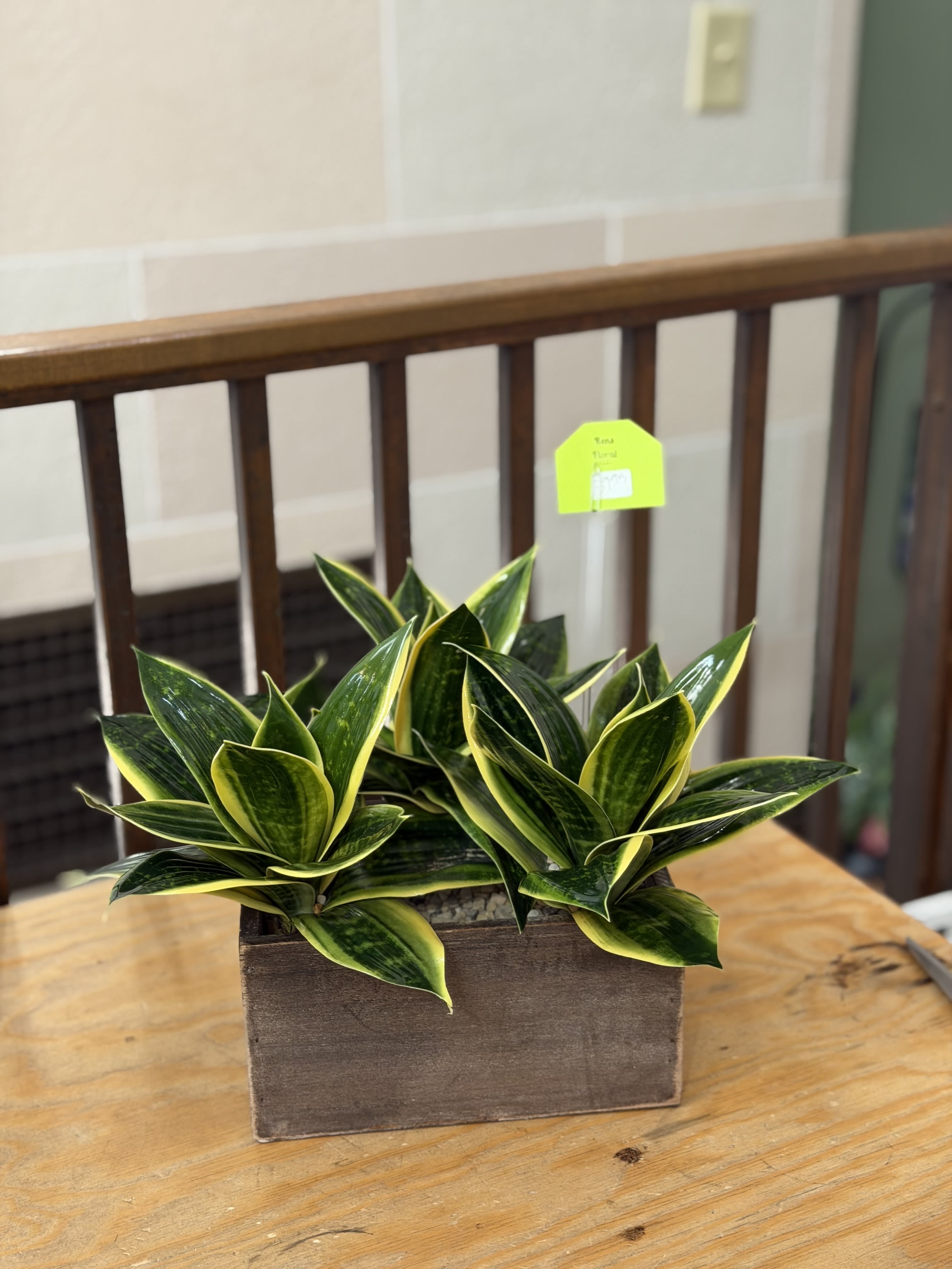 Artificial Snake Plant  - 3 artificial snake plants in a wooden rectangle planter with stones. 