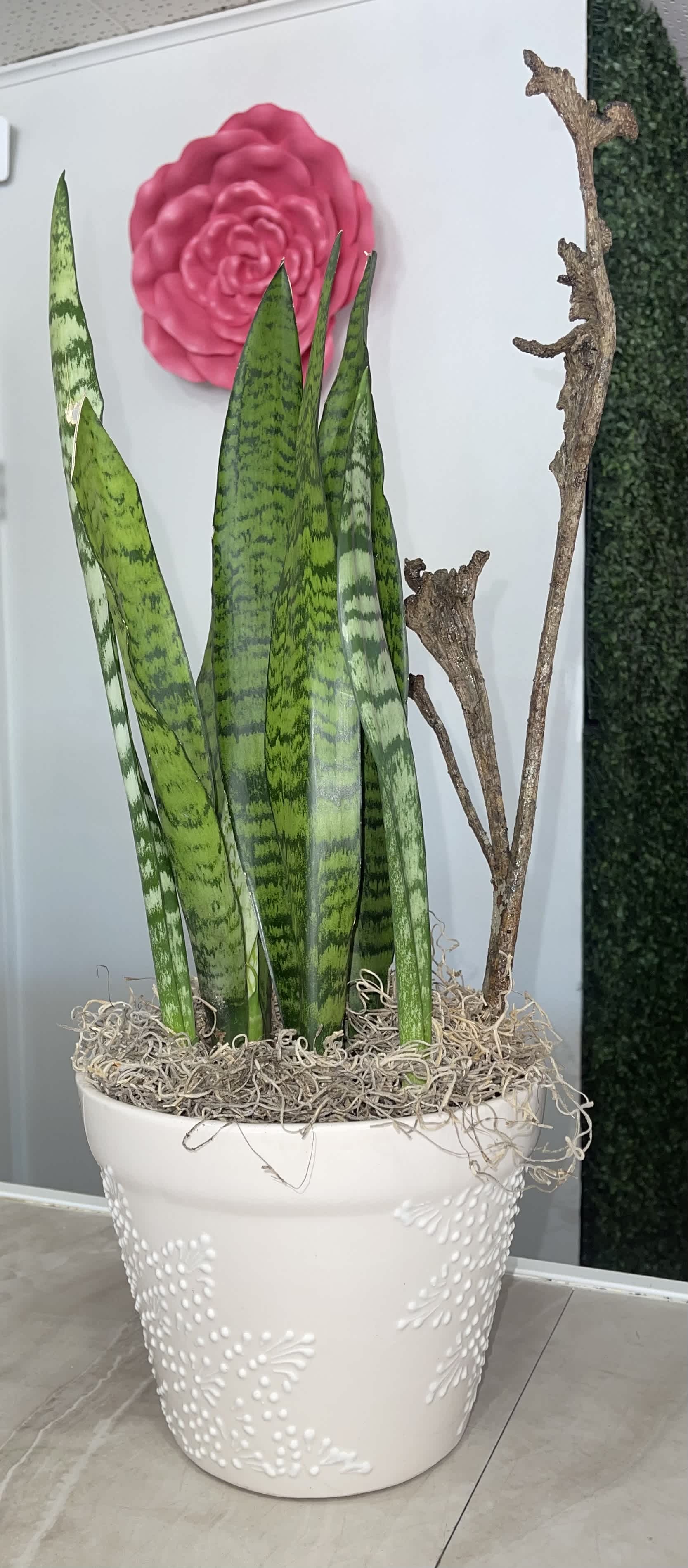 Potted snake plant with a pink flower accent and decorative branches