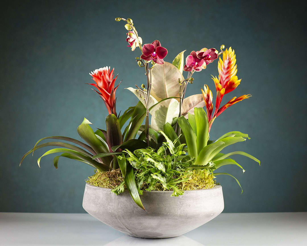 Tropical floral arrangement in a gray bowl vase