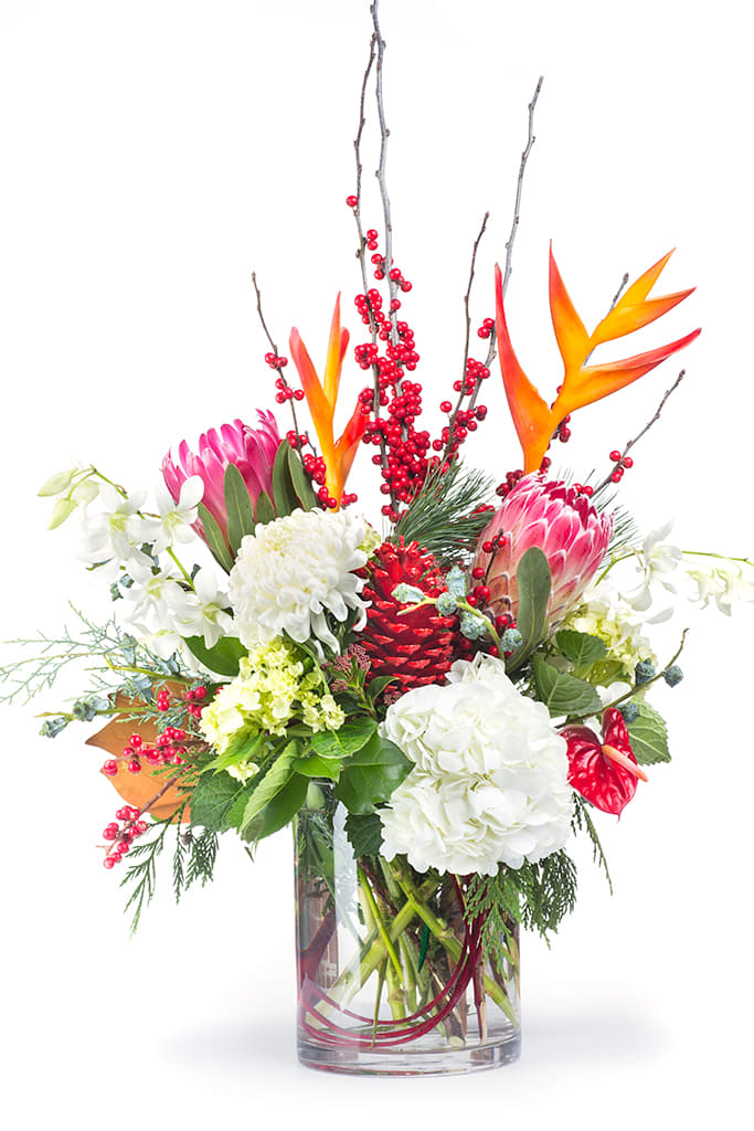 Tropical bouquet with pink protea, white hydrangeas, and red berries in a glass vase