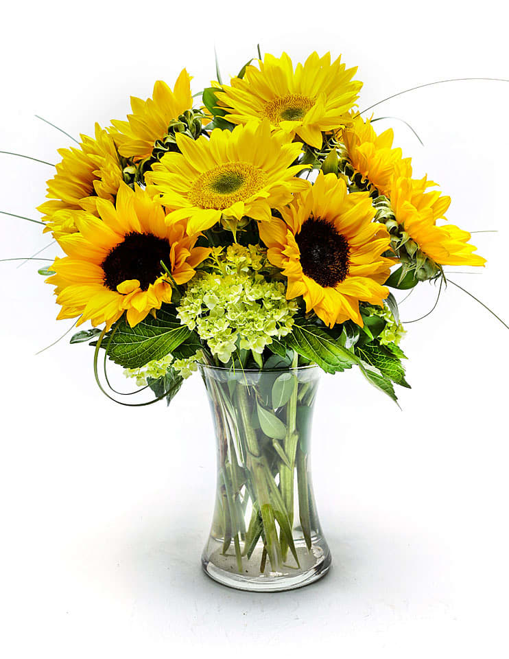 Sunshine - A sunny and bright vase of sunflowers grown in the USA! These will surely put a smile on your face.