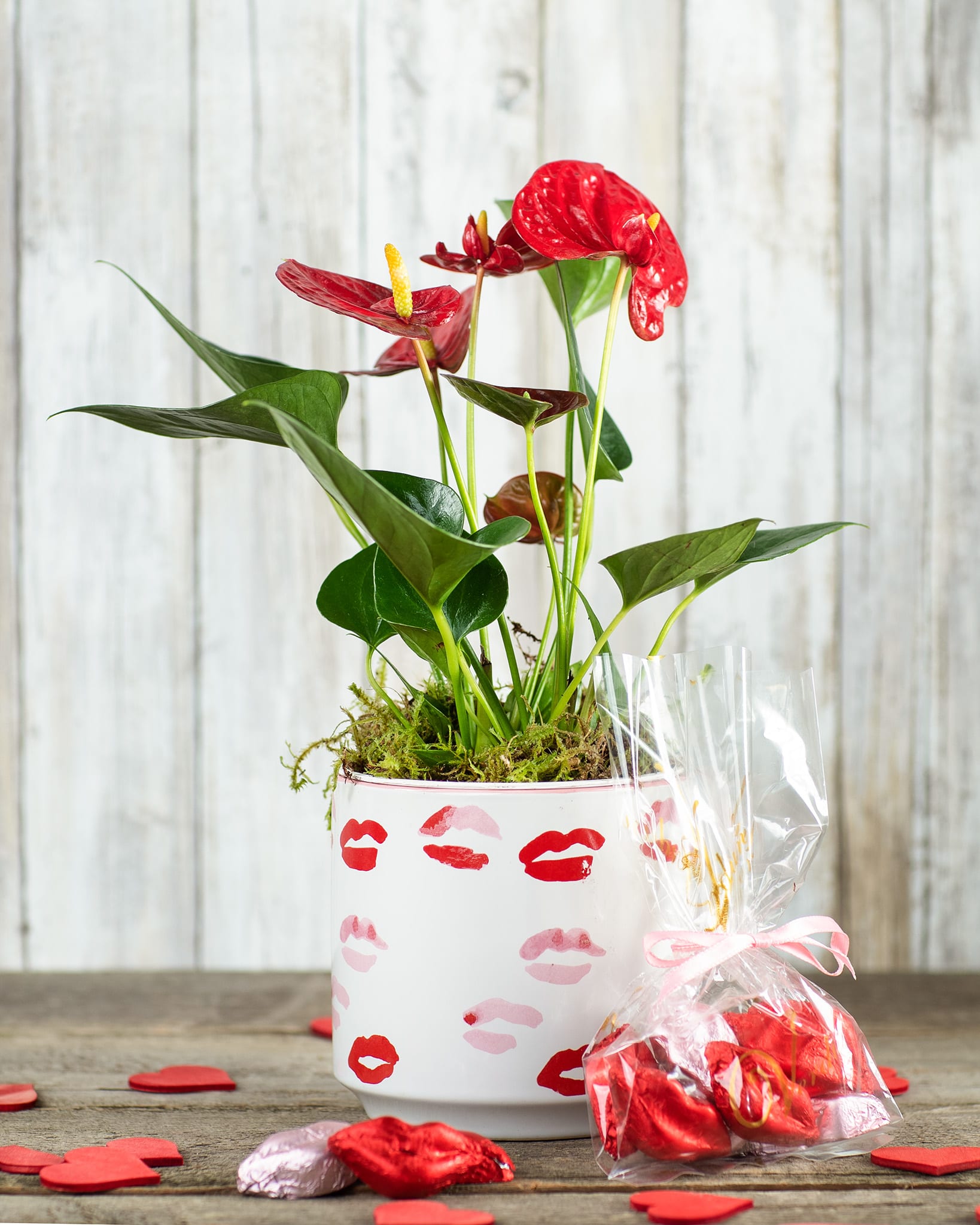 Red anthurium plant in a white pot with lip-print design and a gift bag