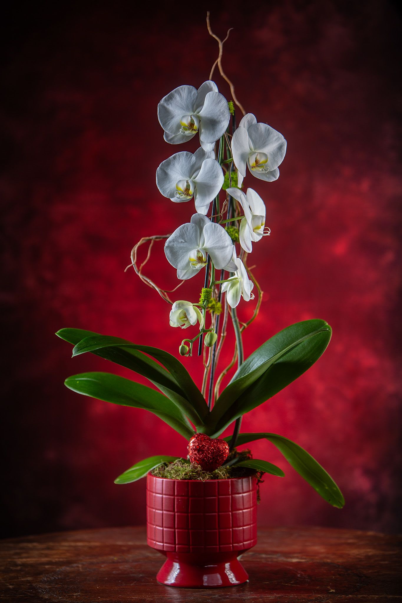 White orchid plant in a red pot with a small heart decoration