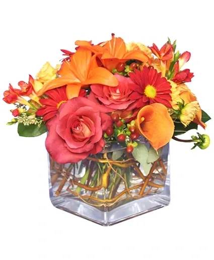 SEASONAL POTPOURRI FRESH FLORAL DESIGN  - Add a little seasonal spice to your celebration or family gathering with this lovely arrangement of fall colors. 