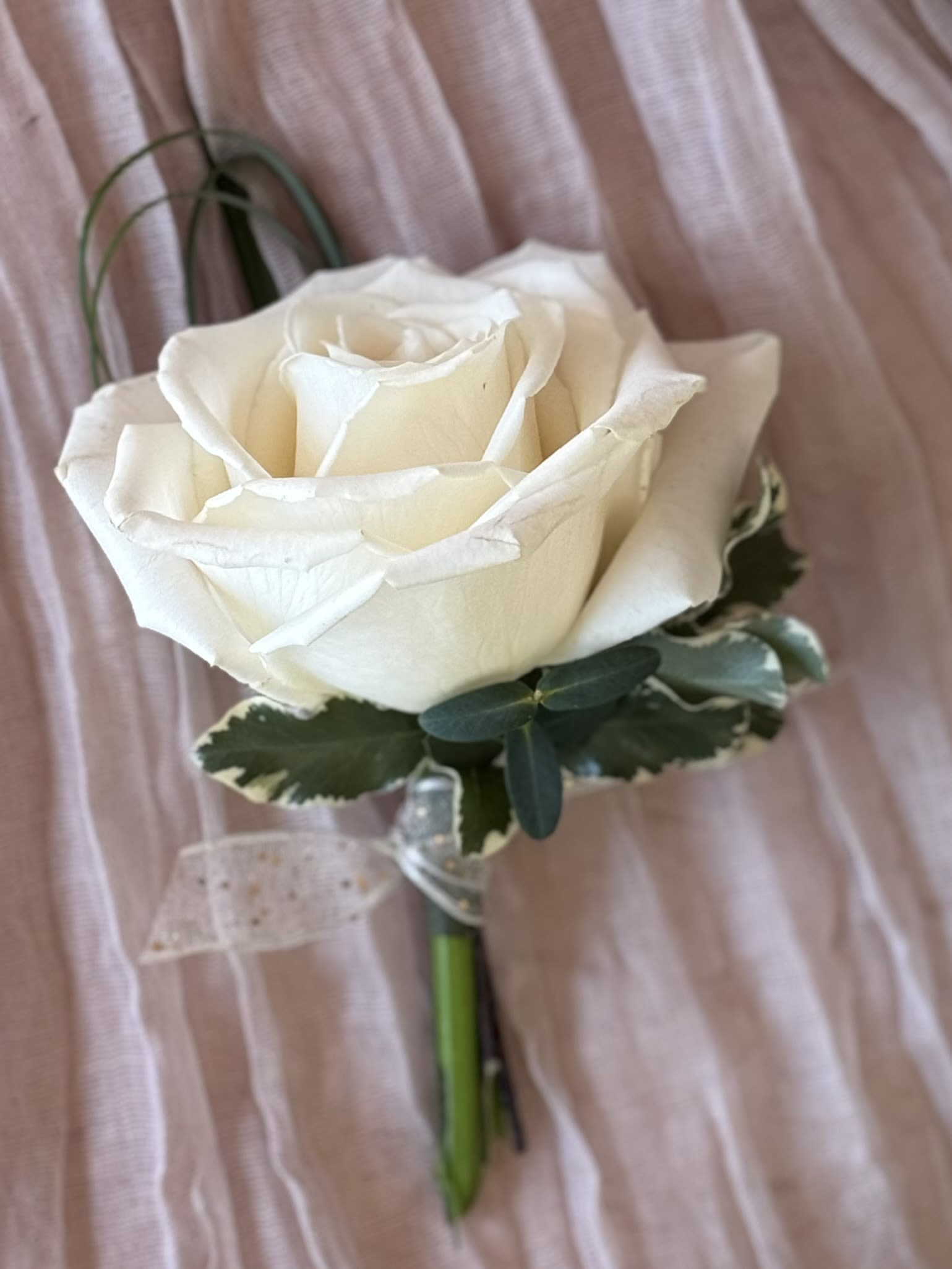 Playa Bianca Rose Boutonniere - A single white rose with greenery and accented with sheer ribbon