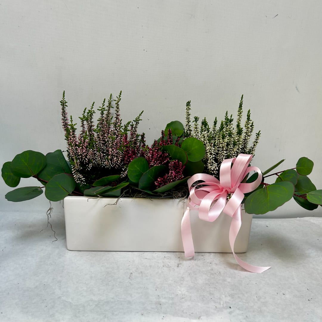 Pink and white heather arrangement in a white rectangular planter with a pink ribbon