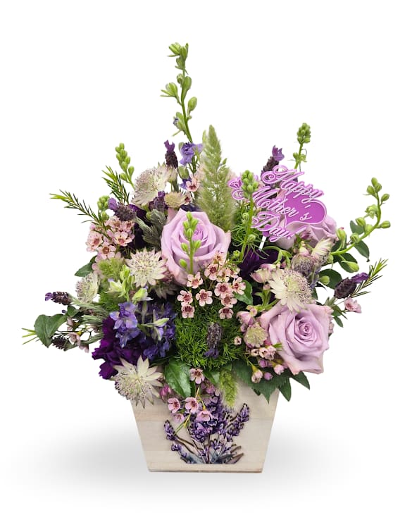  Lavender Dream  - Lilac roses and soft lavender blooms mingle with wisest, Adrianne's, green trick, carnations, larkspur, waxflower and alstroemeria in a compact, garden-style flower arrangement-perfect as a Mother's Day, spring, or "just because" gift.  Arranged in an wooden box (arrangement dimensions approximately 15" x 11"), the mix of purple, white, lavender, green, and pink reads romantic and feminine and works beautifully as a table centerpiece or bedside display.