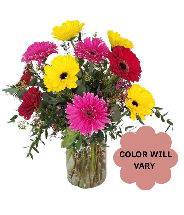 Bright gerbera daisy bouquet in a glass vase with mixed pink, red, and yellow blooms