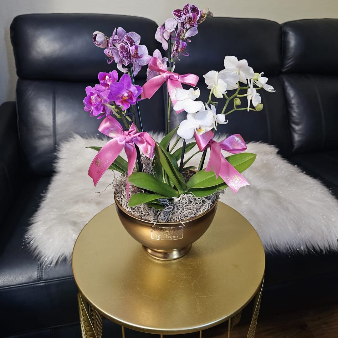 Potted orchids in pink, purple, and white in a gold bowl