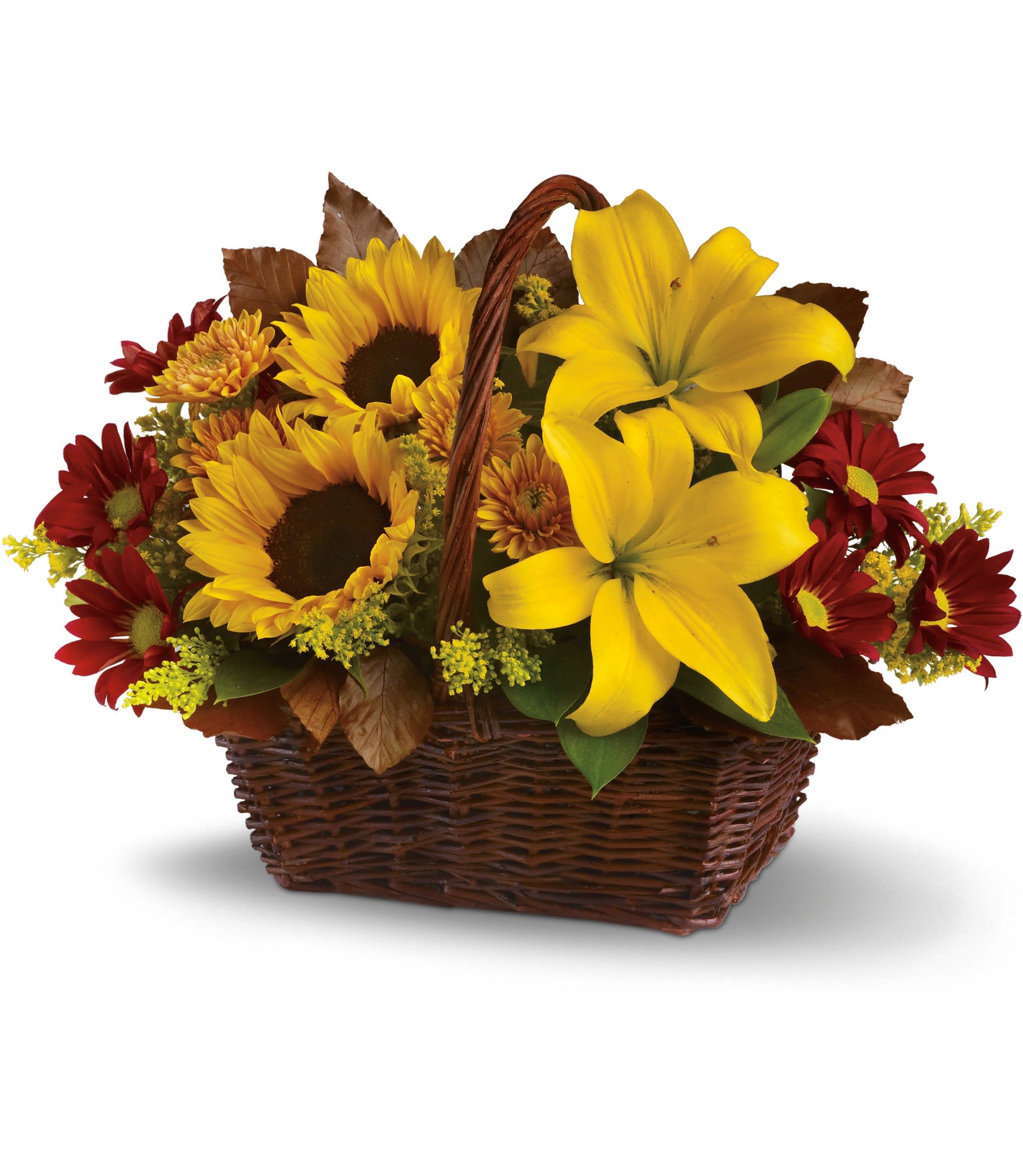 Golden Days Basket - Here's a golden opportunity to make someone's day. Just send this delightful basket of fresh fall flowers to someone who's on your mind and you can be sure it will lift their spirits!  Sunny sunflowers and asiatic lilies, red roses, gold and burgundy chrysanthemums, solidaster, brown copper beech and salal are splendidly arranged in a wicker basket. Send it and you'll be golden, too.  Approximately 14 1/4" W x 10 1/2" H  Orientation: All-Around  As Shown : T174-2A Deluxe : T174-2B Premium : T174-2C