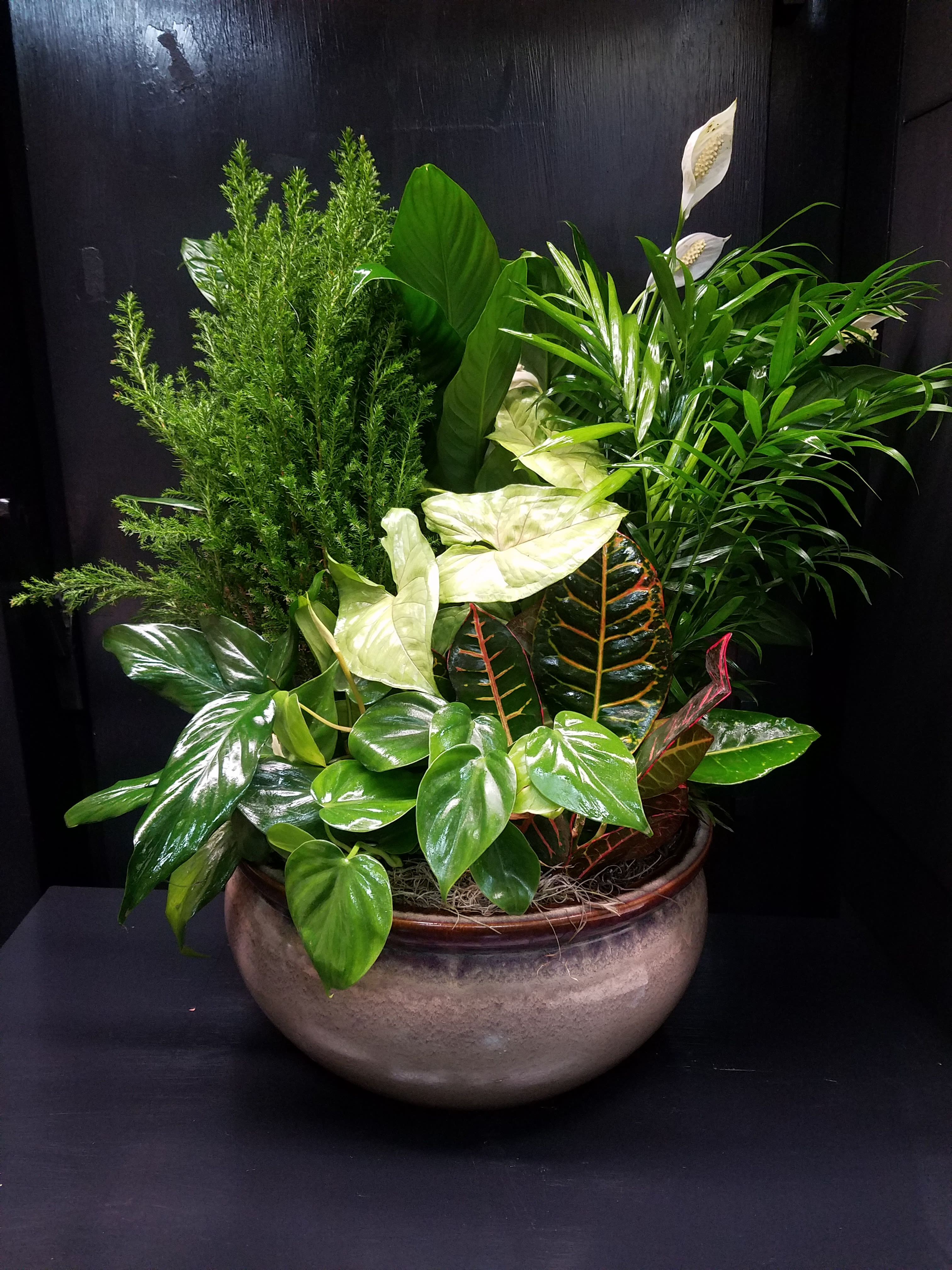 Mixed green potted plant arrangement in a round ceramic bowl with white blooms