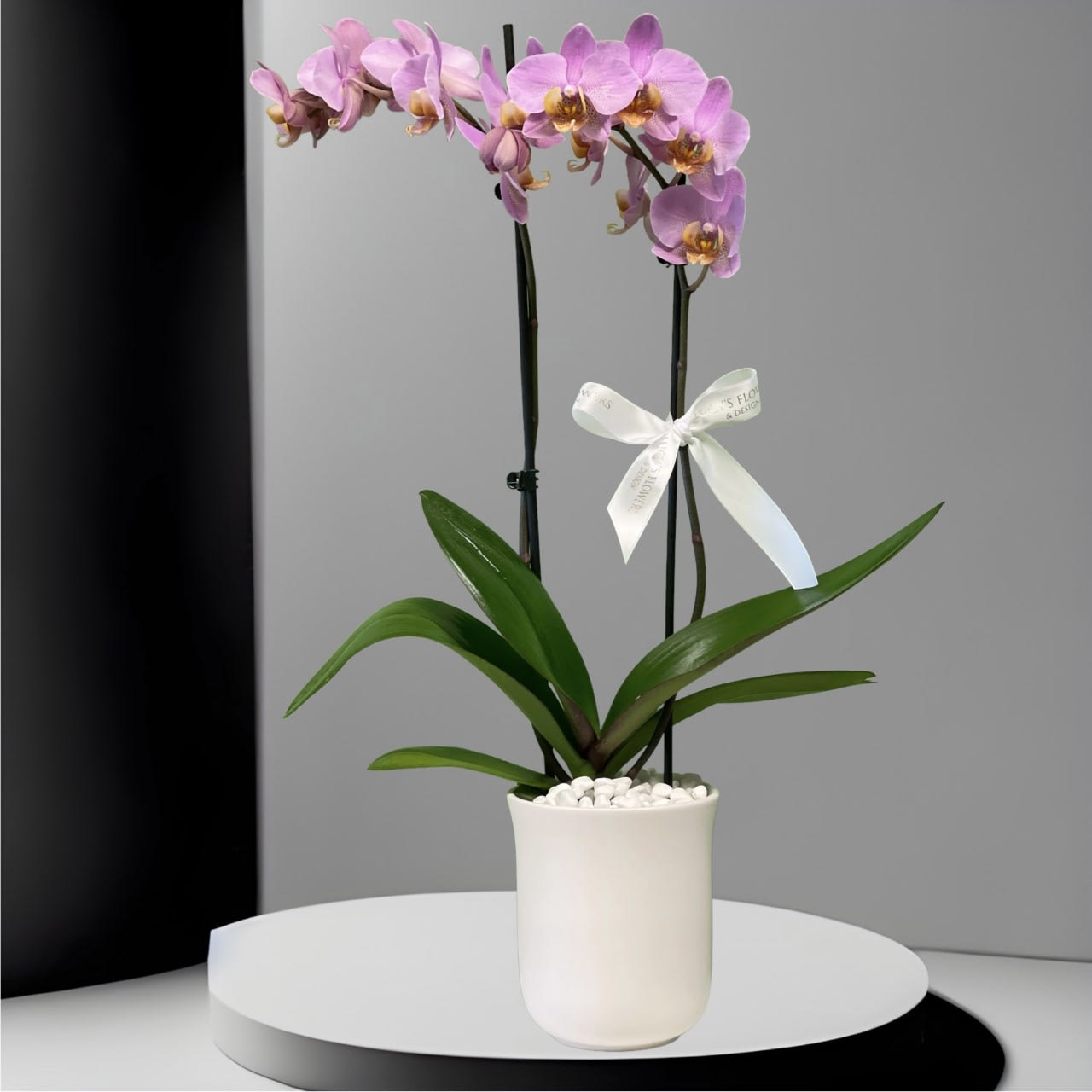 Phalaenopsis Orchid - Symbolizing love, refinement, strength and rare beauty, our Phaelaenopsis orchid arrives accented with river rocks and wired stems.