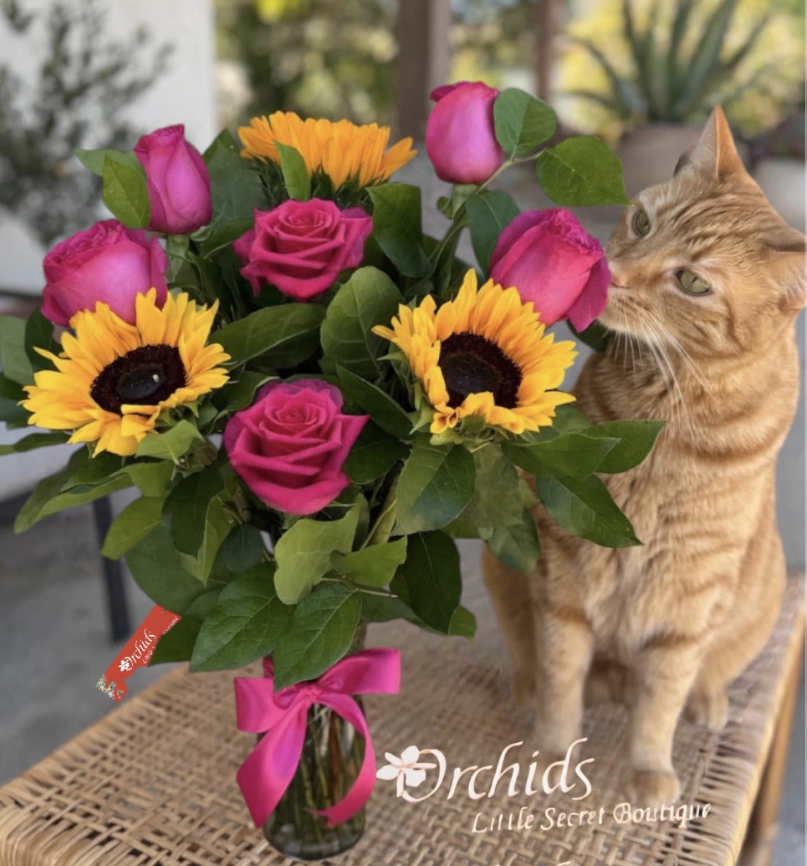 Fuchsia Rose &amp; Sunflower Bouquet | Cat Lovers Collection | Same-Day Orange County Delivery - Brighten someone's day with the cheerful beauty of our Sunflower &amp; Fuchsia Rose Bouquet, thoughtfully designed for cat lovers who appreciate vibrant, fresh flowers. Perfect for birthdays, anniversaries, housewarmings, thank-you gifts, get-well wishes, or simply surprising your favorite cat lover.  Available for same-day flower delivery throughout Placentia, Fullerton, Anaheim, Brea, Orange, Yorba Linda, and surrounding Orange County.  As part of our Cat Lovers Collection, this bouquet was created for customers who love both beautiful flowers and their feline companions. While the flowers in this collection are selected with care, we always recommend displaying fresh flowers out of reach of curious cats, as every pet is different and flowers or foliage may cause irritation if chewed.  Designed for Cat Lovers
