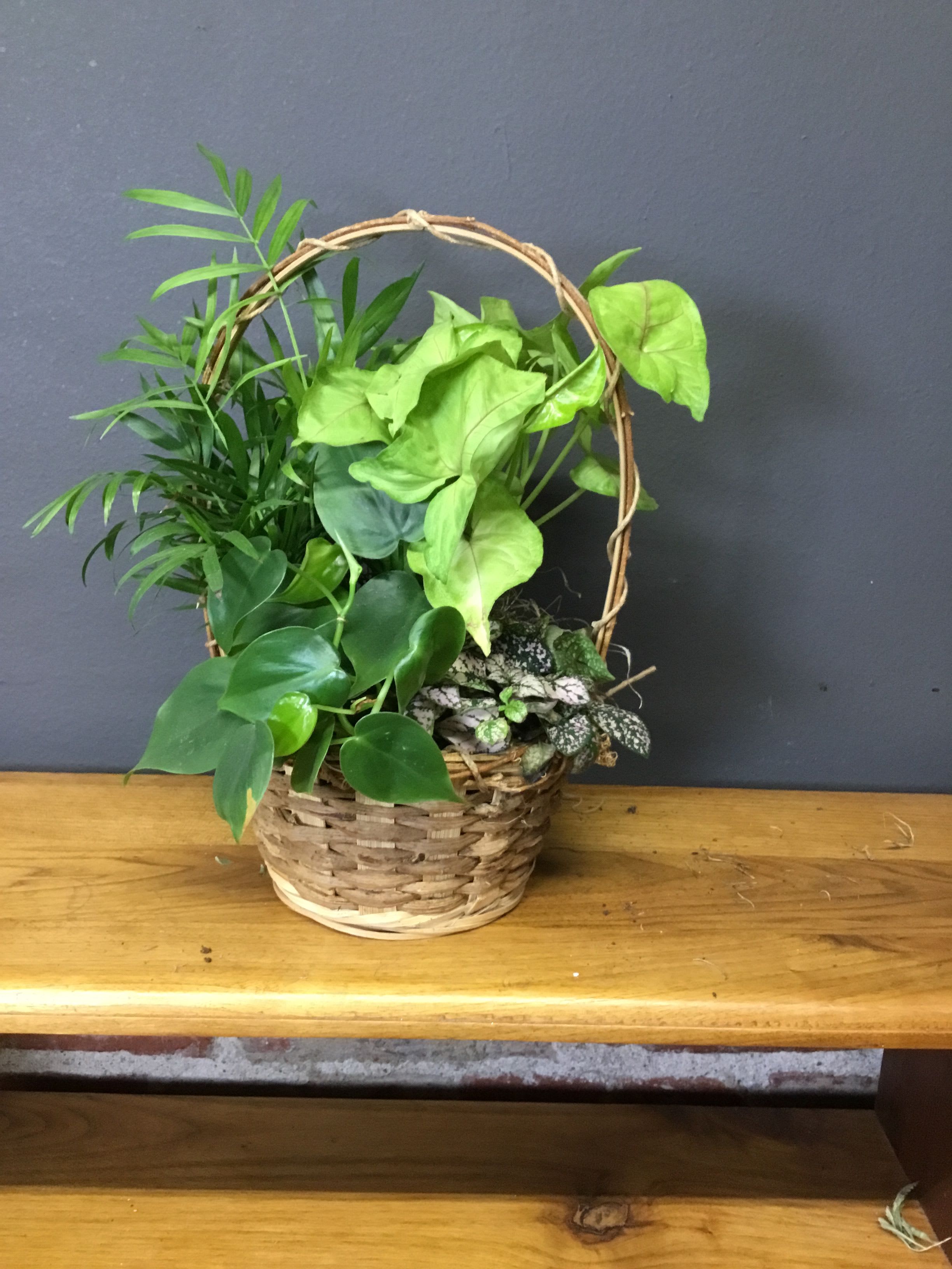 Arrangement of assorted green houseplants in a woven handled basket