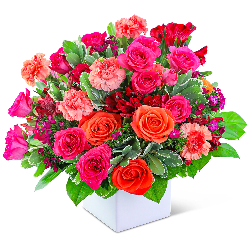 Mixed pink and orange roses with carnations in a white vase