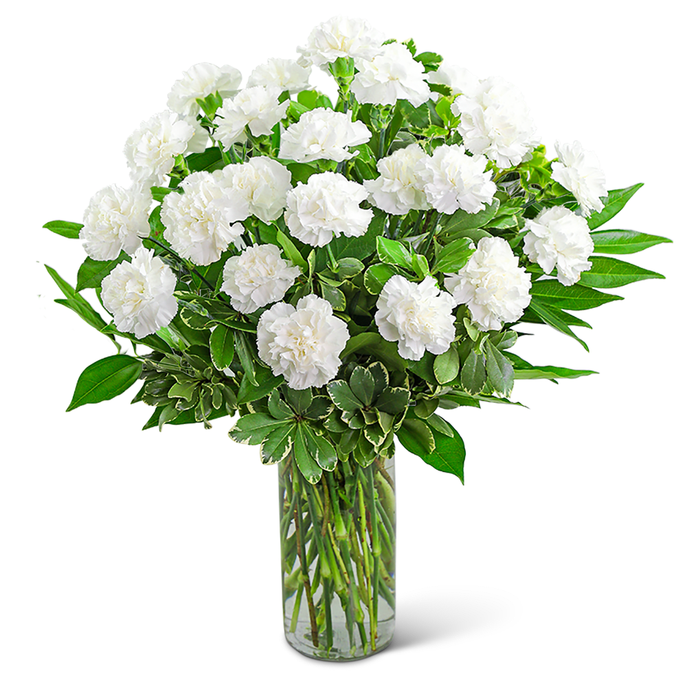White carnations in a clear glass vase with green foliage