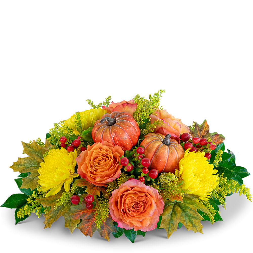 Pumpkin Spice Centerpiece - Bring the warmth and charm of autumn to your Thanksgiving table with our Pumpkin Spice Centerpiece. Bursting with vibrant roses, chrysanthemums, hypericum berries, and a variety of fall foliage, this arrangement captures the essence of the season. Adorned with pumpkins, it is the perfect centerpiece to create a festive ambiance or to send as a heartfelt thank-you gift to the host.