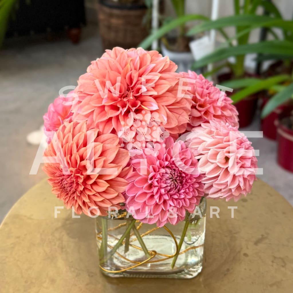 Pink and peach dahlias arranged in a clear square vase
