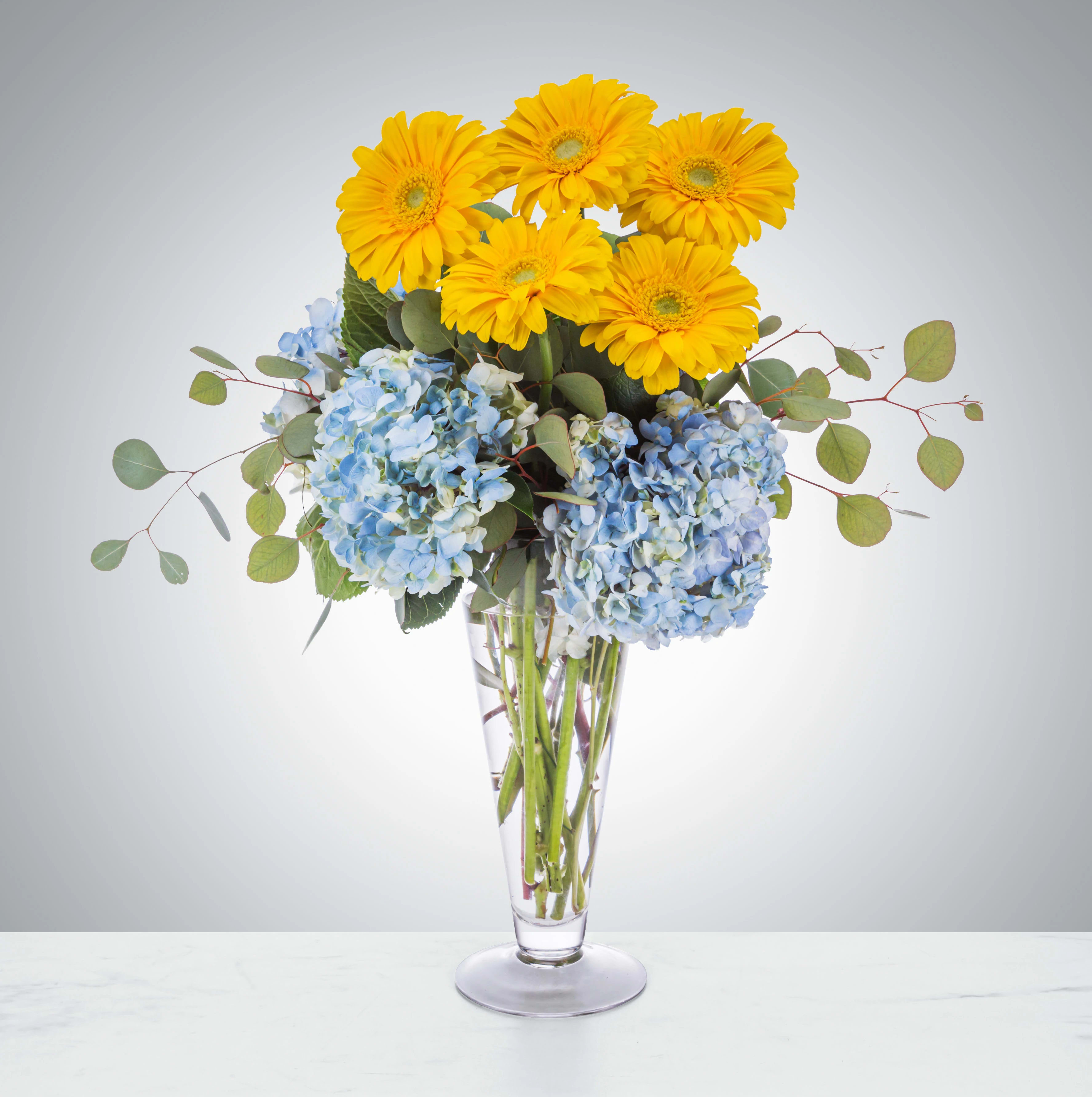 Summer Sundae by BloomNation™ - What could be better than a sundae on a hot day? Recapture that joy by sending this daisy, hydrangea, and eucalyptus arrangement.  Approximate Dimensions: 16"D x 19"H