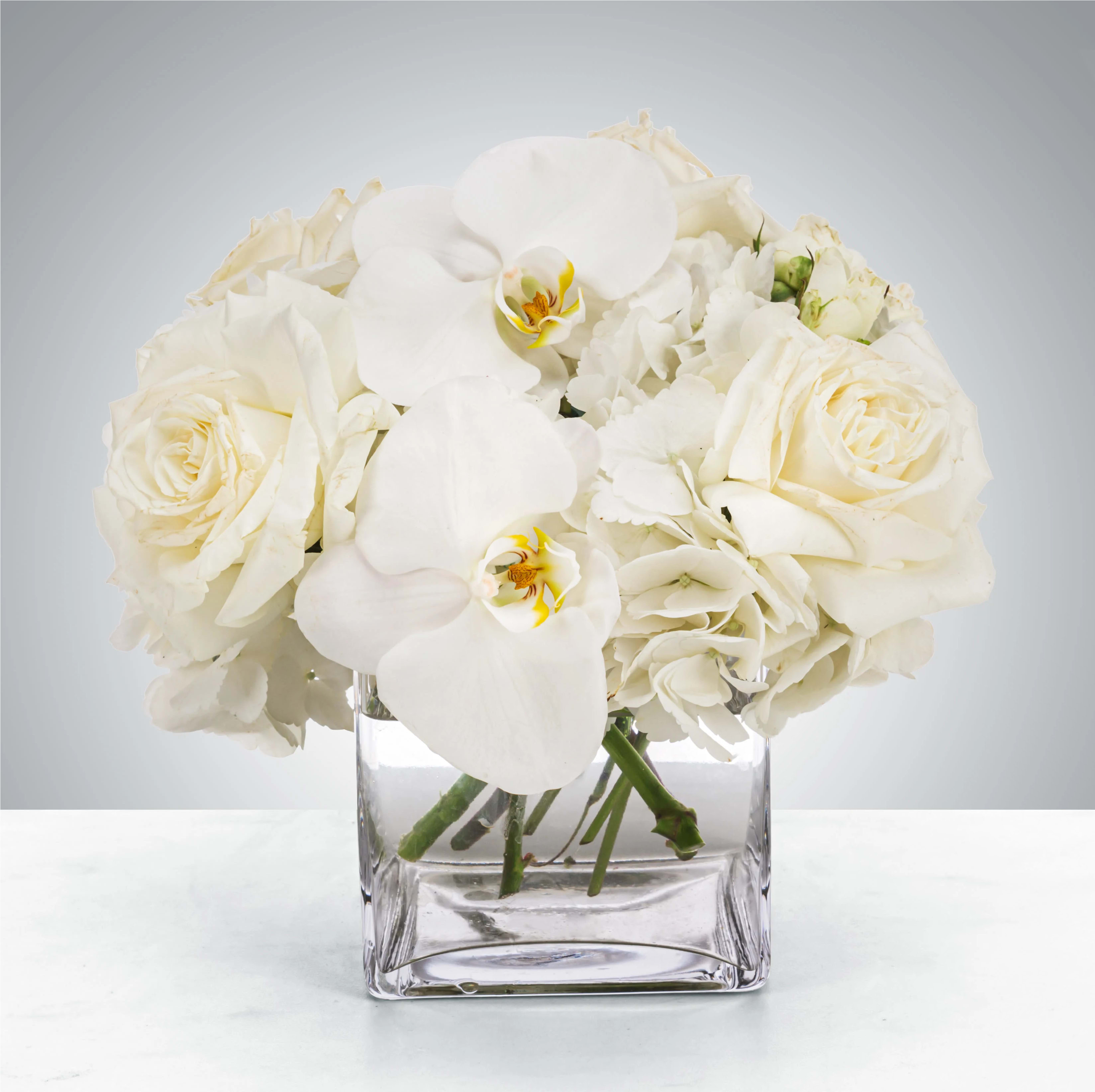 Linen by BloomNation™ - This petite all-white arrangement featuring hydrangea and orchids is the perfect all-occasion gift. Send it for any holiday, event, or circumstance.  Approximate Dimensions: 8"D x 8"H