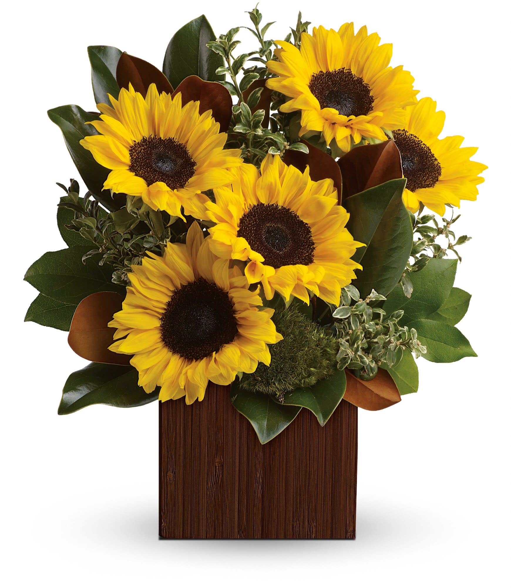 You're Golden Bouquet by Teleflora - Rise and shine! Send her a sunrise with this golden bouquet of bright-as-day sunflowers. It's the perfect gift for the light of your life. 