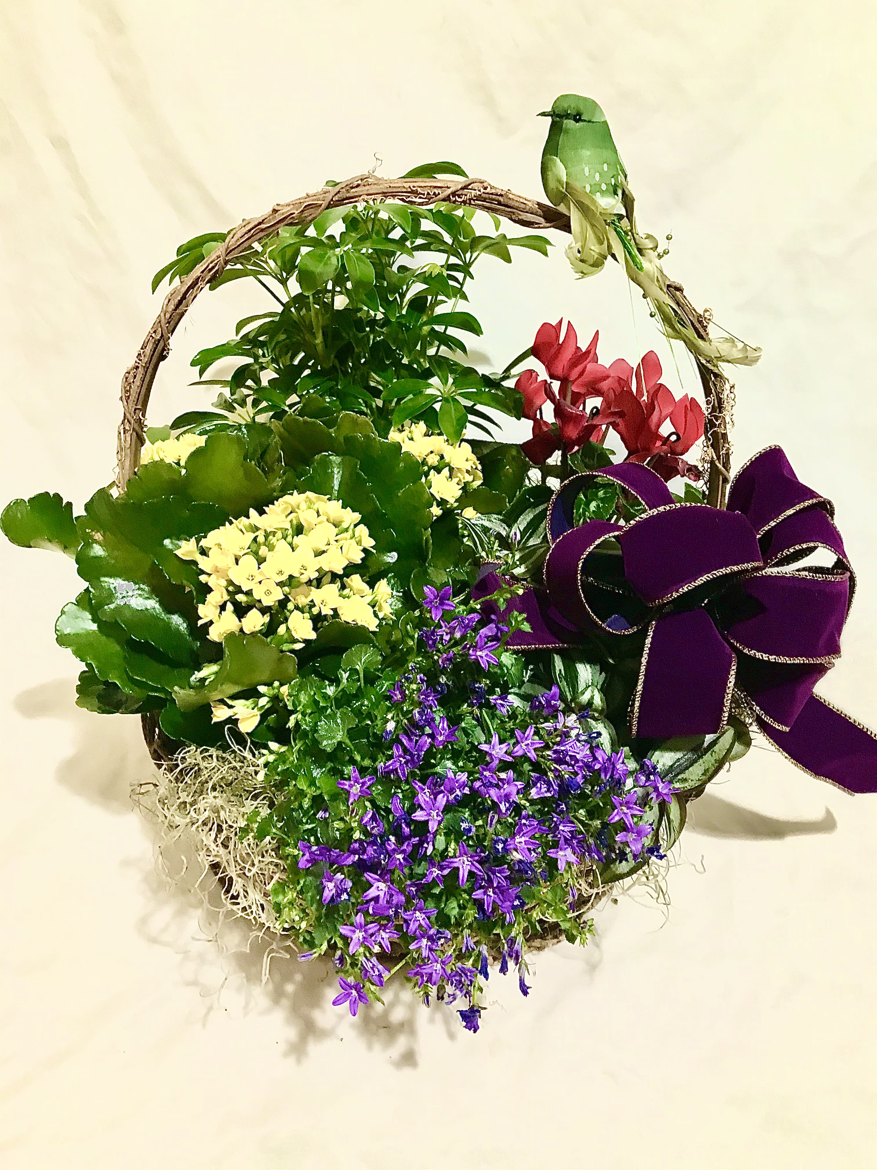 Basket garden of mixed green plants with yellow, red, and purple flowers, a purple bow, and a small green bird decoration.