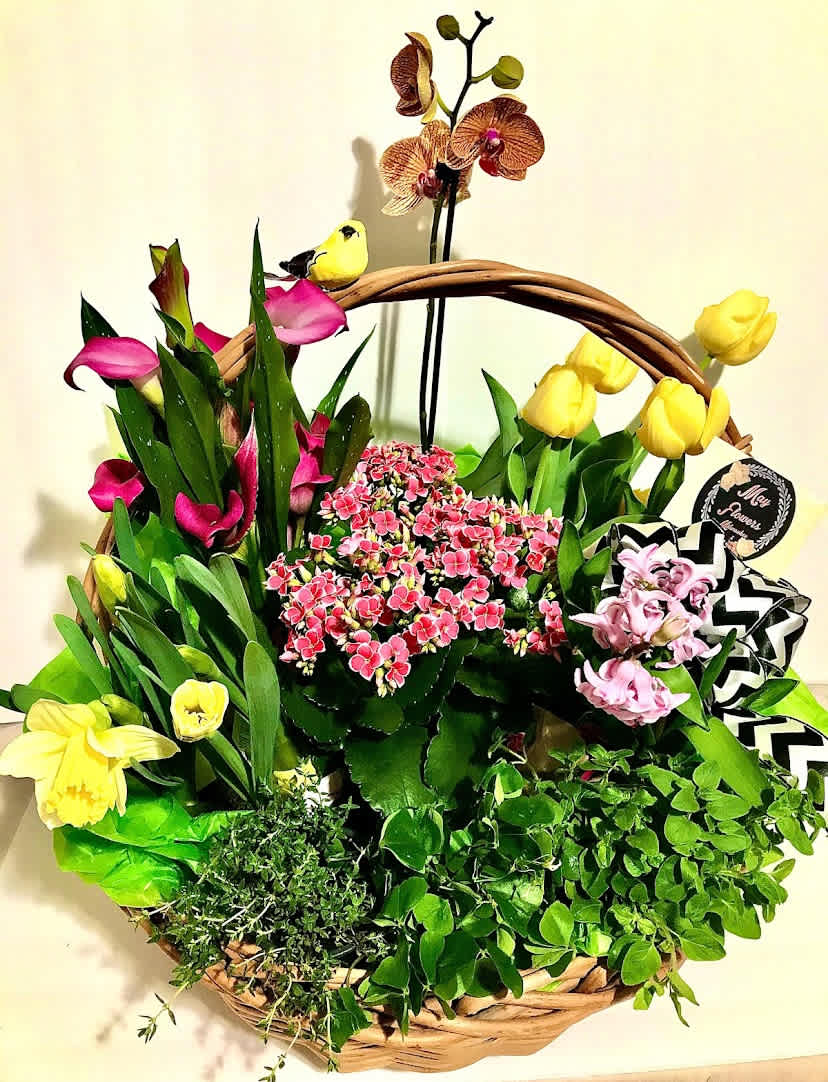 Wicker basket of mixed spring plants with yellow tulips, daffodils, orchids, and pink blooms plus a small bird decoration