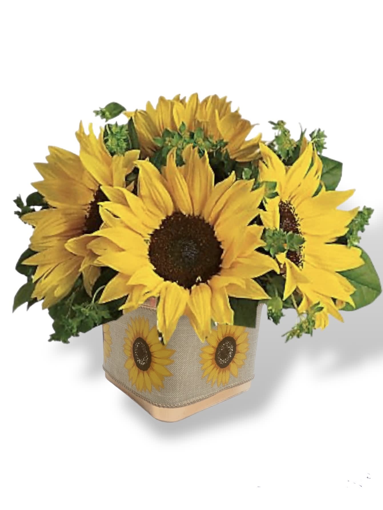 Sunflower arrangement in a square burlap-covered container