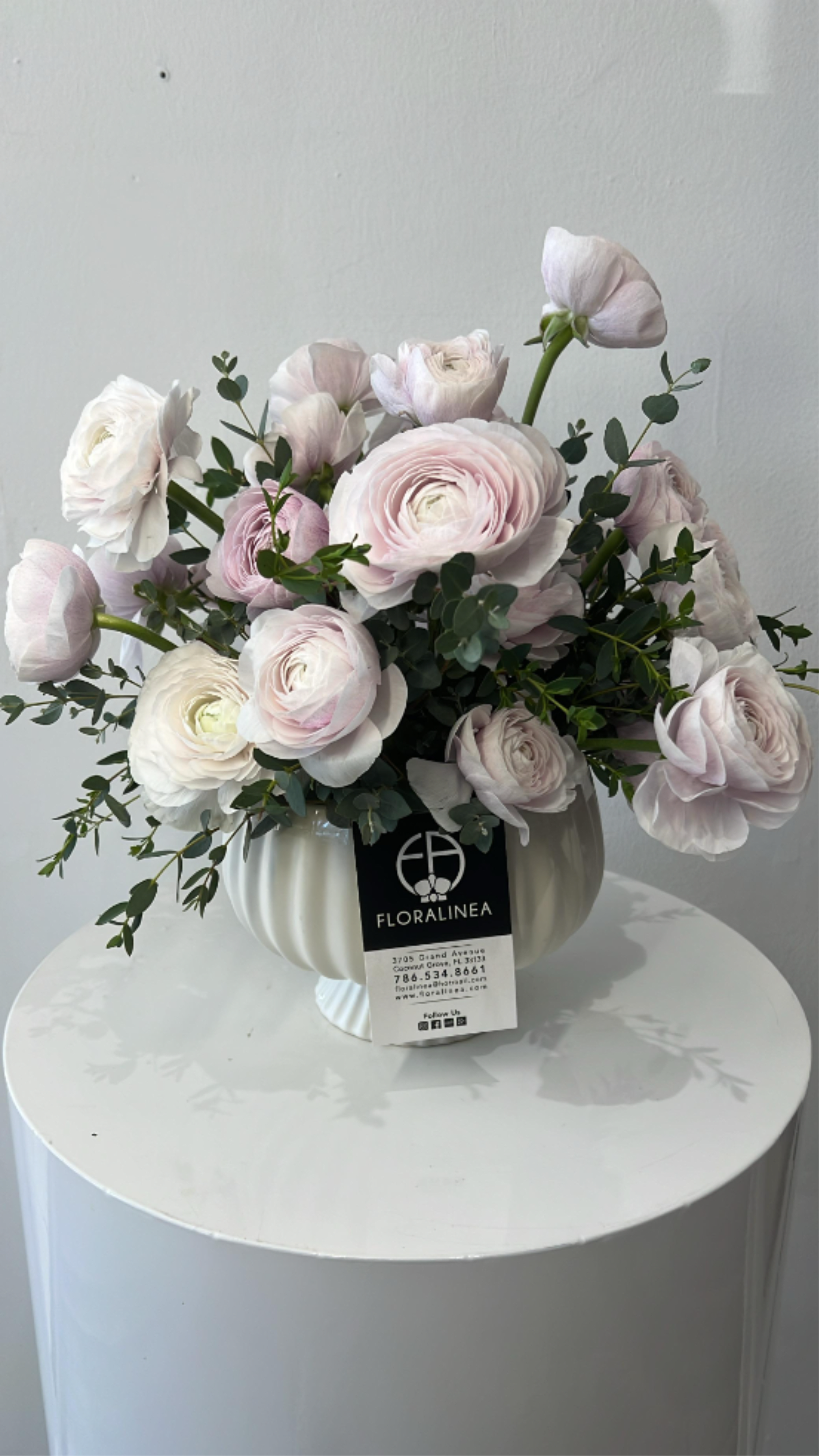 Too Pretty to Text Back - Ranunculus like you have never seen them, with a mix of subtle green to empower their color and texture.
