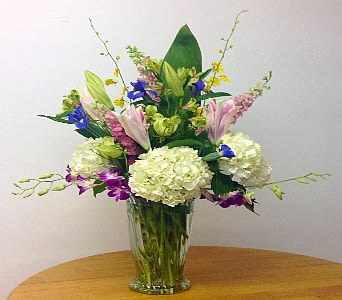 Orchids on Ogden by Floral Expressions! - An elegant arrangement of orchids, snapdragons, alstroemeria, roses, lilies, iris and hydrangeas.  Arranged in a tall glass vase and accented with ti leaves and other lush greenery.   Available for same day delivery to most Denver locations by Denver's Best Florist, Floral Expressions!    