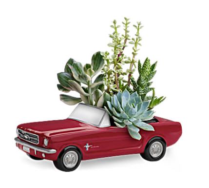 Succulent arrangement in a red toy pickup truck planter