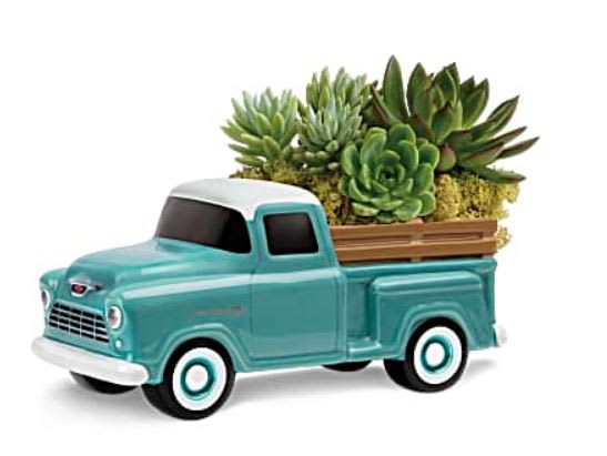 Turquoise toy pickup truck holding a succulent planter