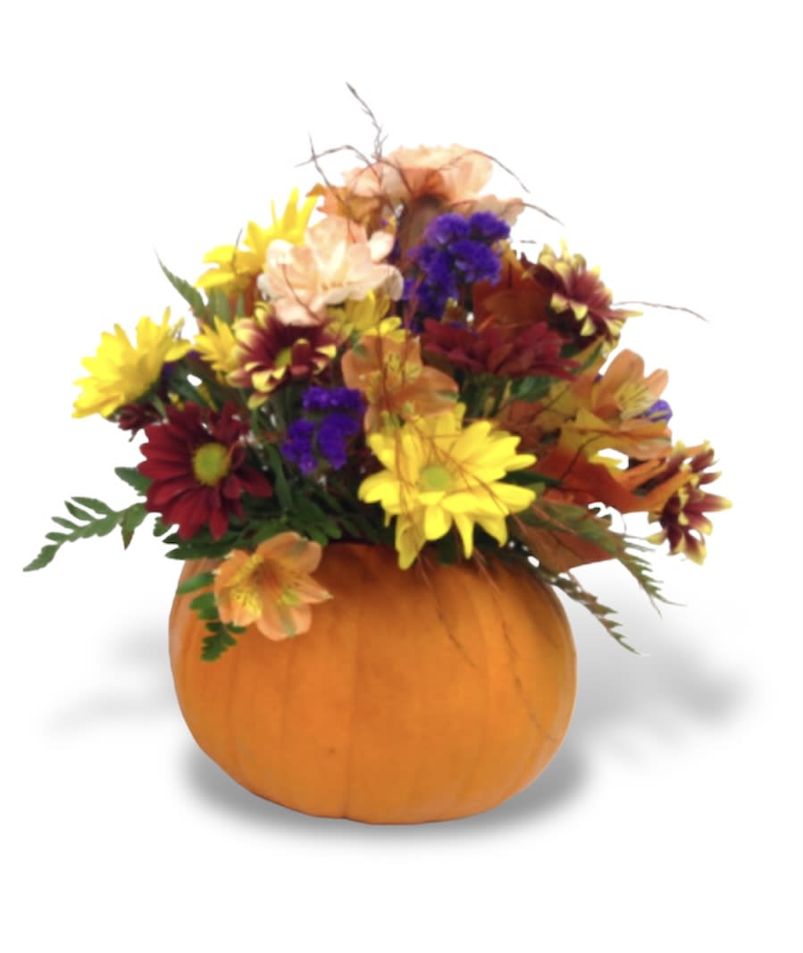 Teleflora's Pretty Pumpkin Bouquet - The radiant bouquet includes yellow sunflowers, yellow cushion spray chrysanthemums, red daisy spray chrysanthemums, solidago, huckleberry and oak leaves. Approximately 15 1/2" W x 12" H. T11H110A
