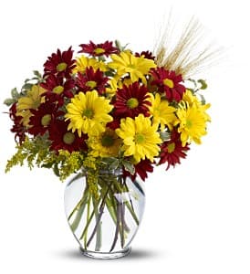 Bouquet of red and yellow daisies in a clear glass vase