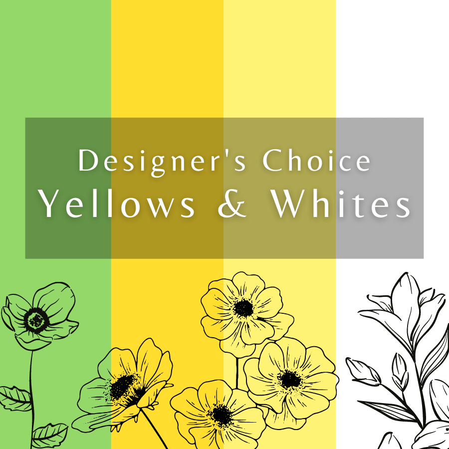 Graphic reading "Designer’s Choice Yellows &amp; Whites" with floral line art