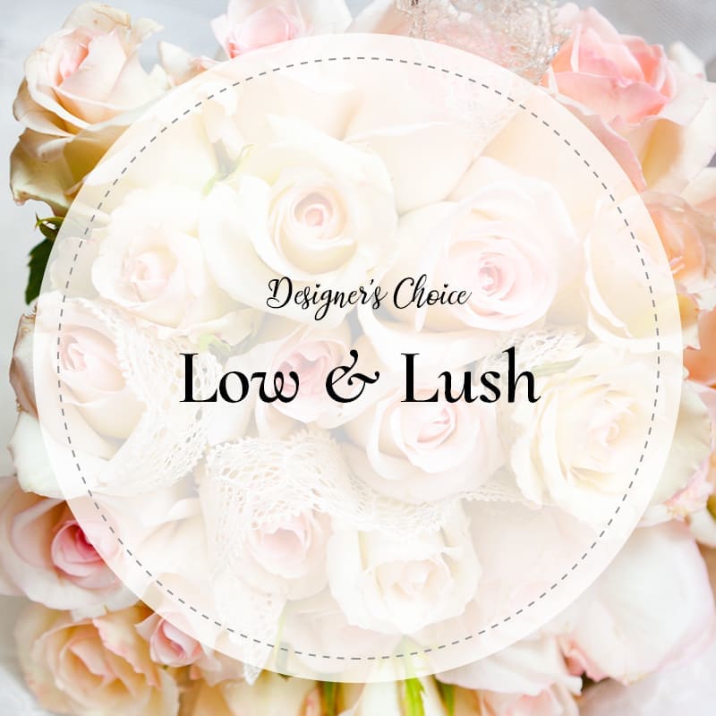 Low &amp; Lush Designer's Choice - Designer's Choice - Low &amp; Lush.