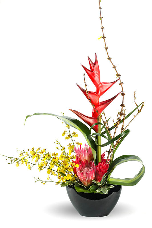 Tropical floral arrangement in a black bowl with red heliconia and yellow orchids