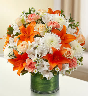 Cherished Memories - Peach, Orange and White - Product ID: 95427   Send a touching remembrance during times of loss with an elegant arrangement in serene shades of peach, orange and white. The freshest roses, lilies, cremones, alstroemeria, carnations and more are hand-designed in a sleek cylinder vase for this comforting sympathy gift. Graceful peach, orange and white arrangement of roses, lilies, cremones, alstroemeria, carnations and monte casino, gathered with variegated pittosporum, Italian ruscus and myrtle Hand-designed by our expert florists in a stylish clear glass cylinder vase wrapped with a Ti leaf ribbon; vase measures 6"H Appropriate for the service or the home of friends and family members Large arrangement measures approximately 16"H x 17"L Medium arrangement measures approximately 15"H x 16"L Small arrangement measures approximately 14"H X 15"L Our florists hand-design each arrangement, so colors, varieties, and vase may vary due to local availability Lilies may arrive in bud form and will open to full beauty over the next 2-3 days