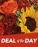 Bouquet of orange roses, yellow sunflower, and red mums