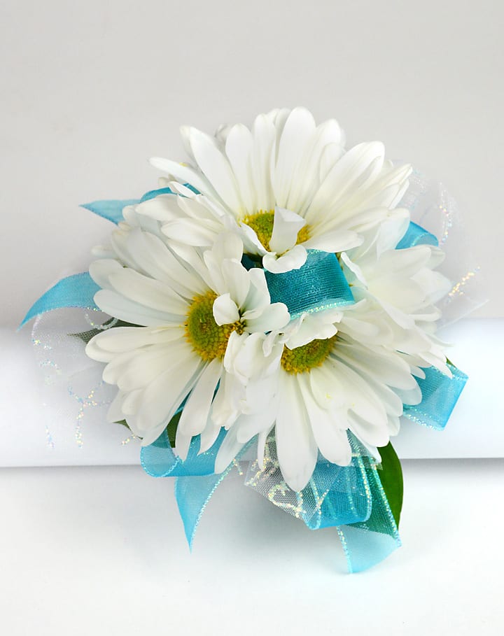 White daisy bouquet with bright blue ribbon accents