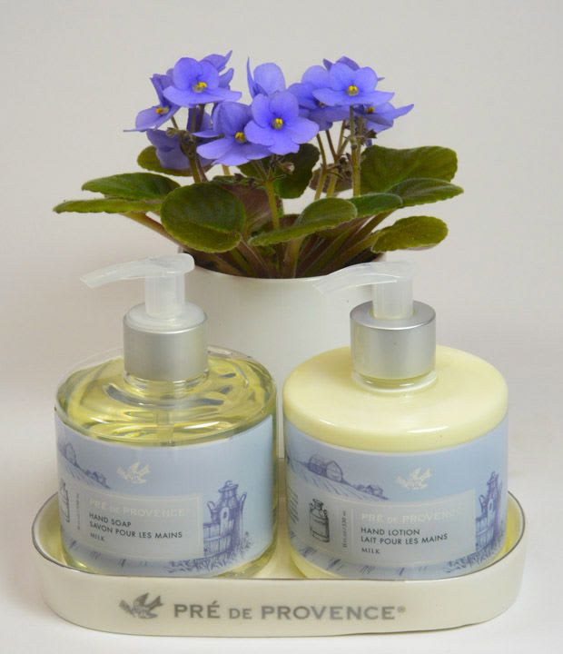 Potted purple flowers above two hand soap and lotion bottles on a tray