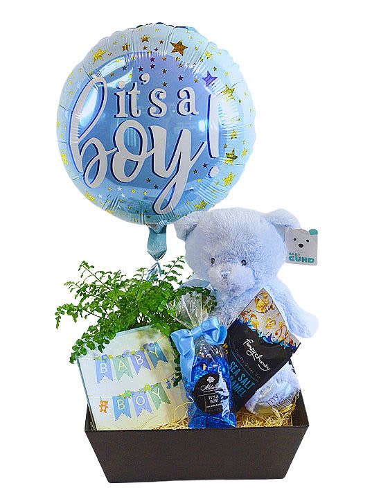 Baby boy gift basket with balloon, teddy bear, plant, and treats