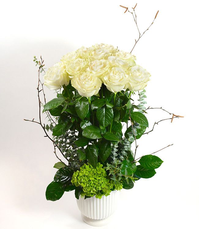 White roses and green hydrangea in a white vase