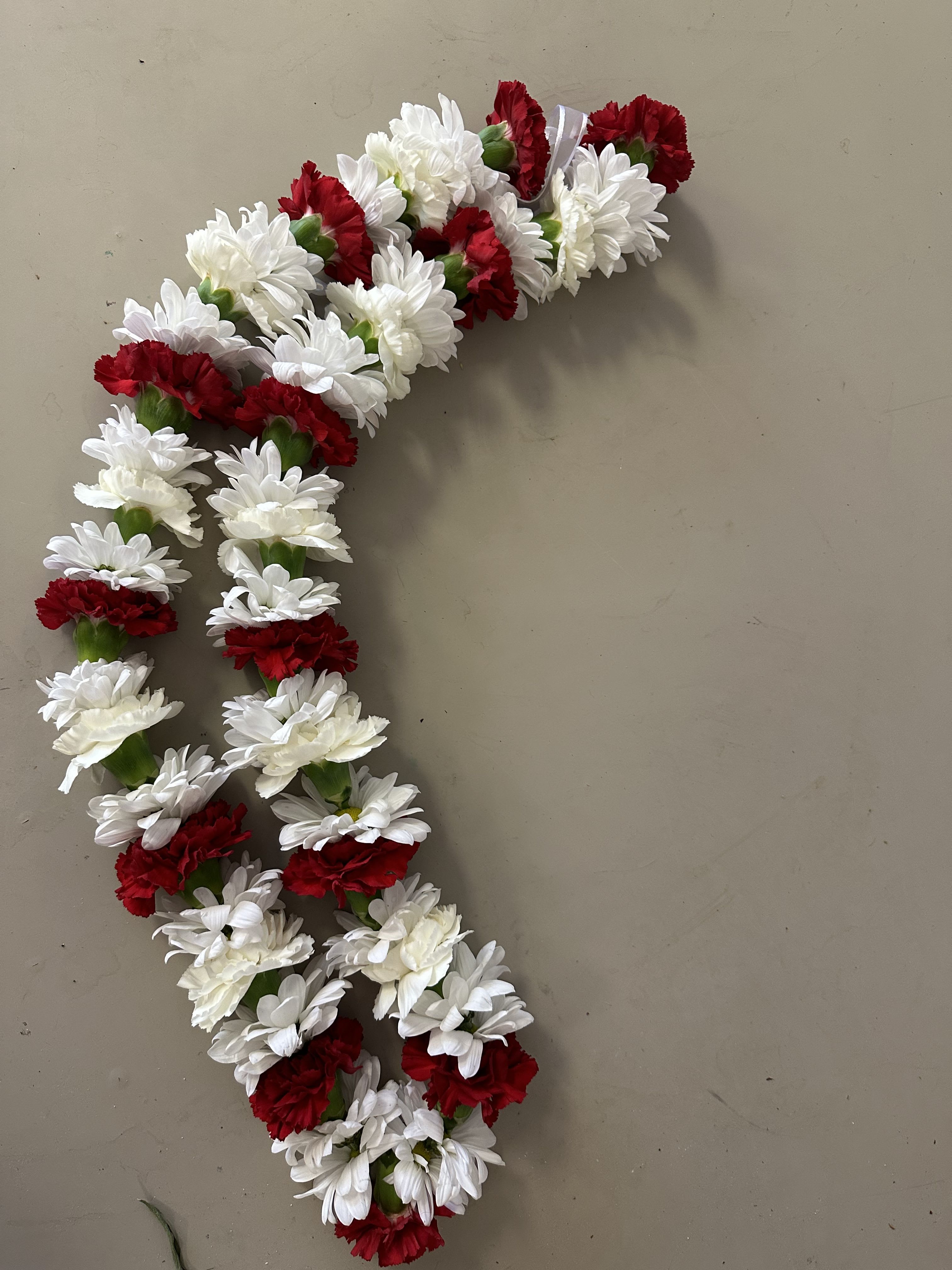 Red and white carnation lei arranged in a curved strand
