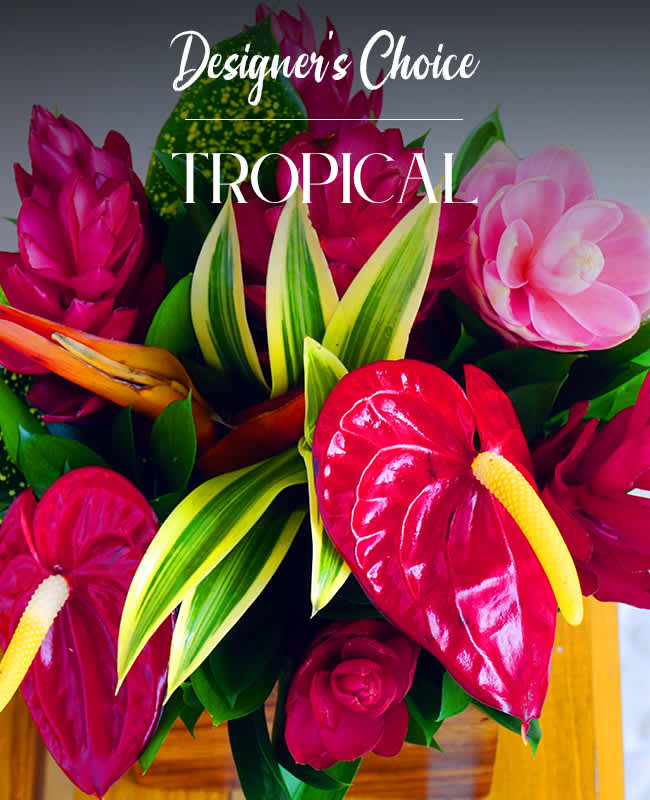 Tropical Floral  - Transport yourself to a lush, exotic paradise with our Designer's Choice Tropical Floral selection. Perfect for adding a fresh and vibrant touch to your home or office, these tropical florals are chosen for their beauty.