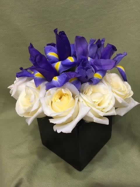 Compact arrangement of white roses and purple irises in a black cube vase