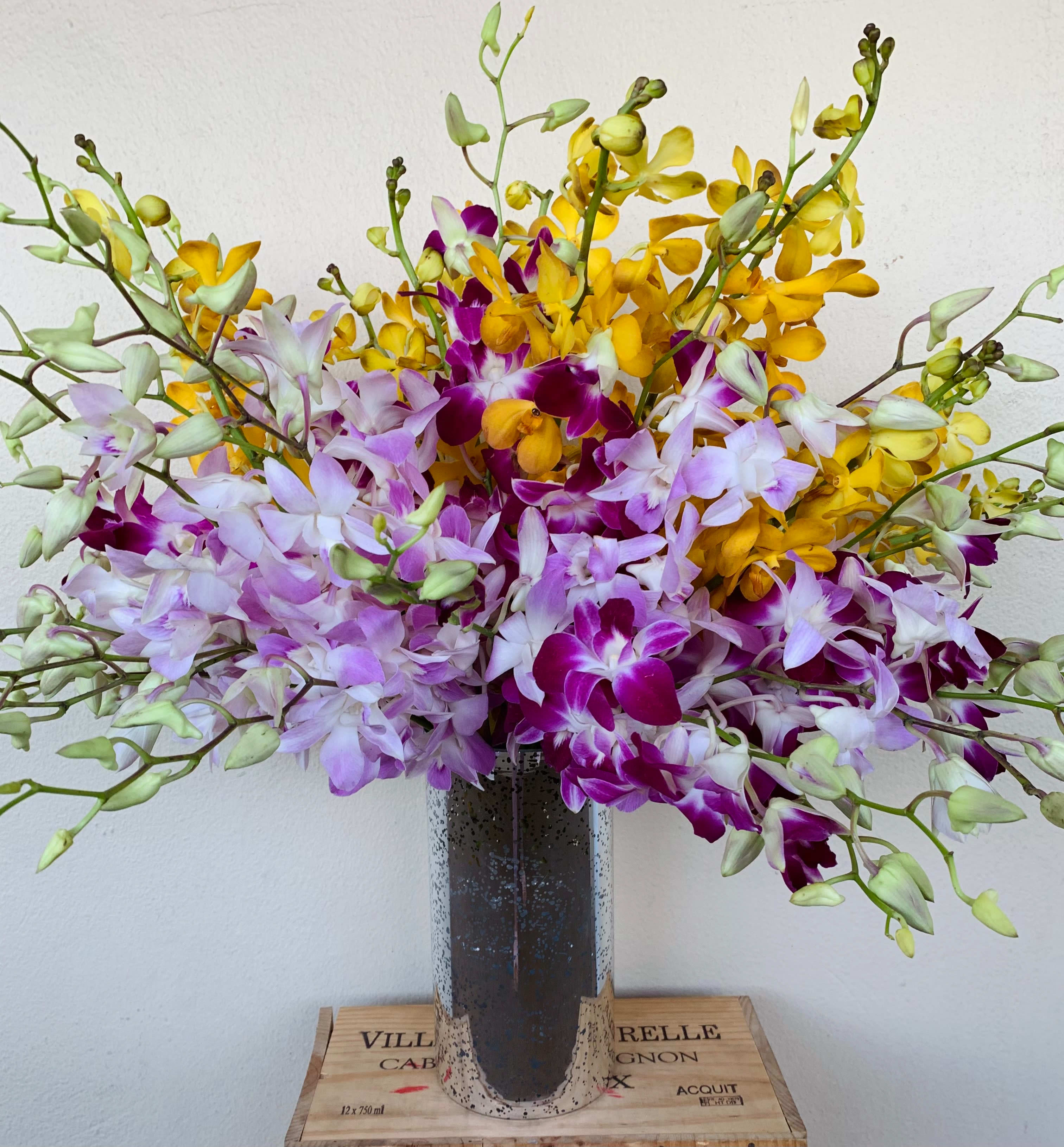 Orchid Rainbow - Mixed color Orchid blooms in tall glass vase. 