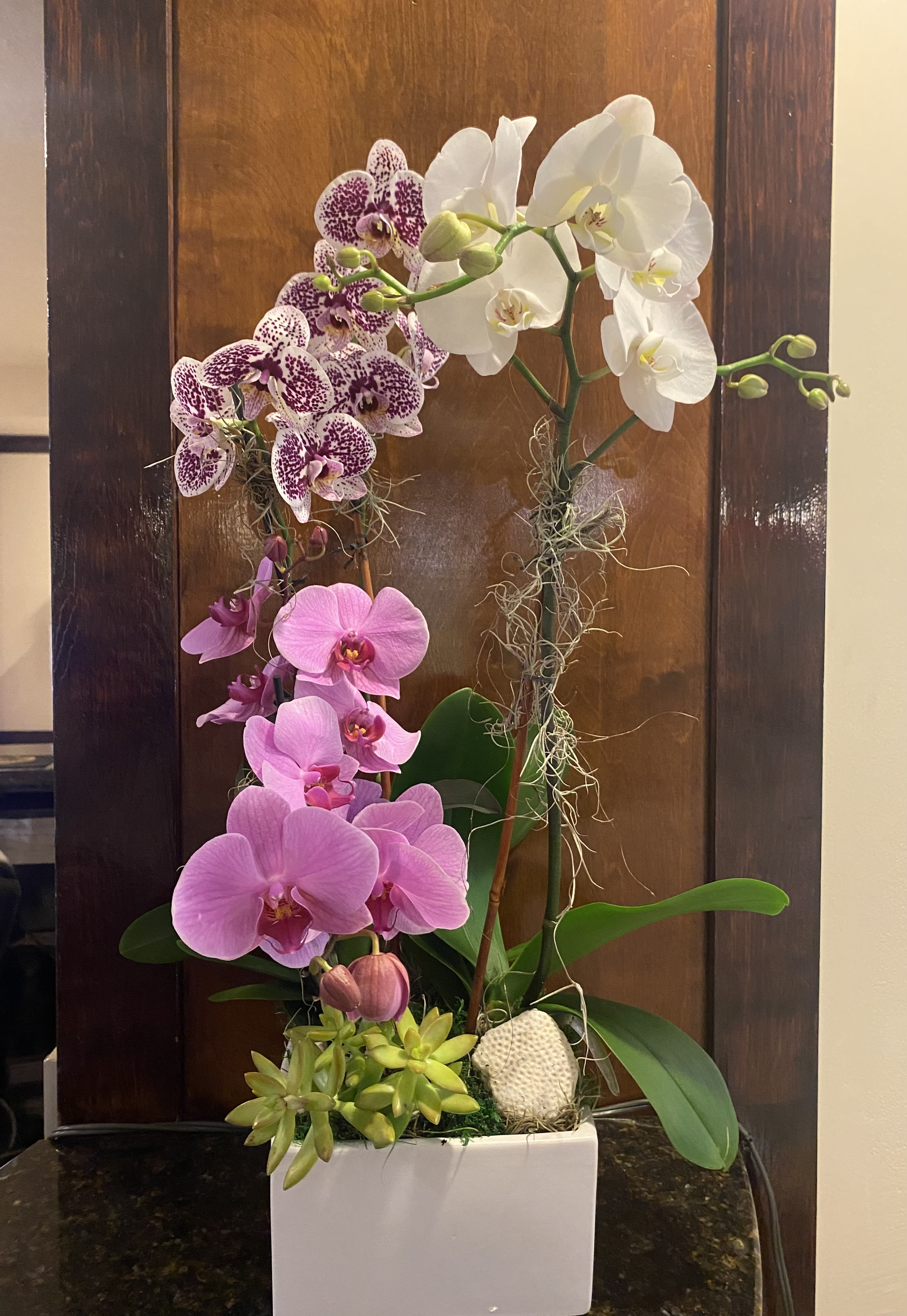 Tall orchid arrangement in a white square planter with pink, purple-speckled, and white blooms